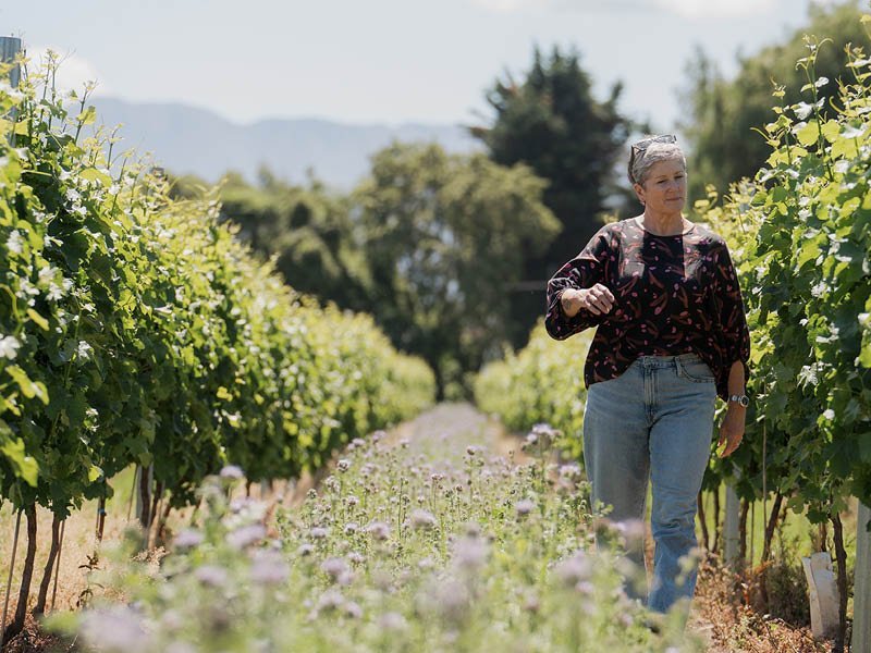 Sustainability at Jules Taylor Wines - Jules Taylor Wines
