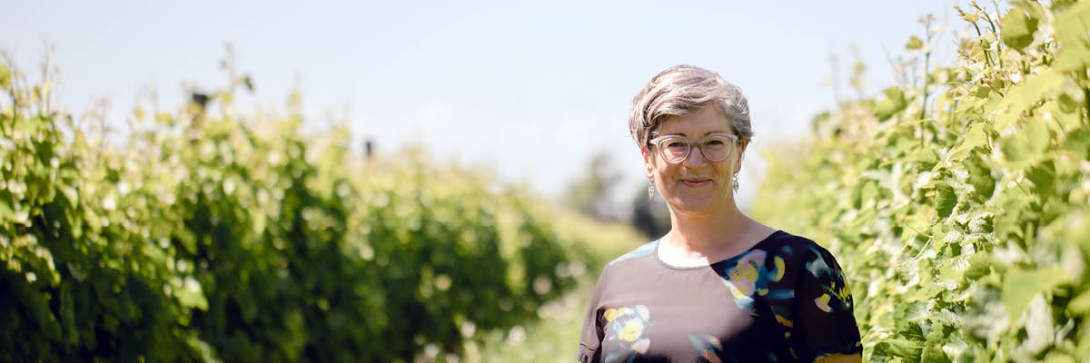 Jules Taylor Wines our story header2.jpg__PID:b7c3218e-4da4-49f2-950f-4370a53e98ad