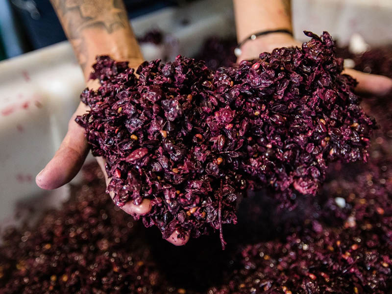 WINEMAKING